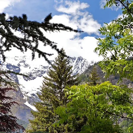 Appartement Spazioso A